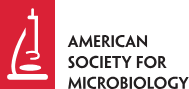 American Society for Microbiology